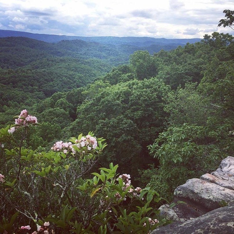 Sandstone fin at Pinnacle Rock State Park near Bramwell